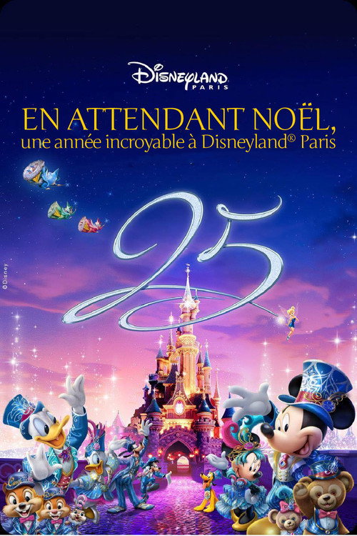En attendant Noël : une année incroyable à Disneyland